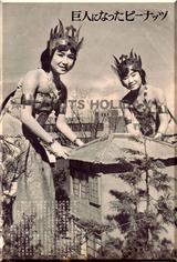 画像2: http://blogs.yahoo.co.jp/saigoku_taiga/20470016.html
