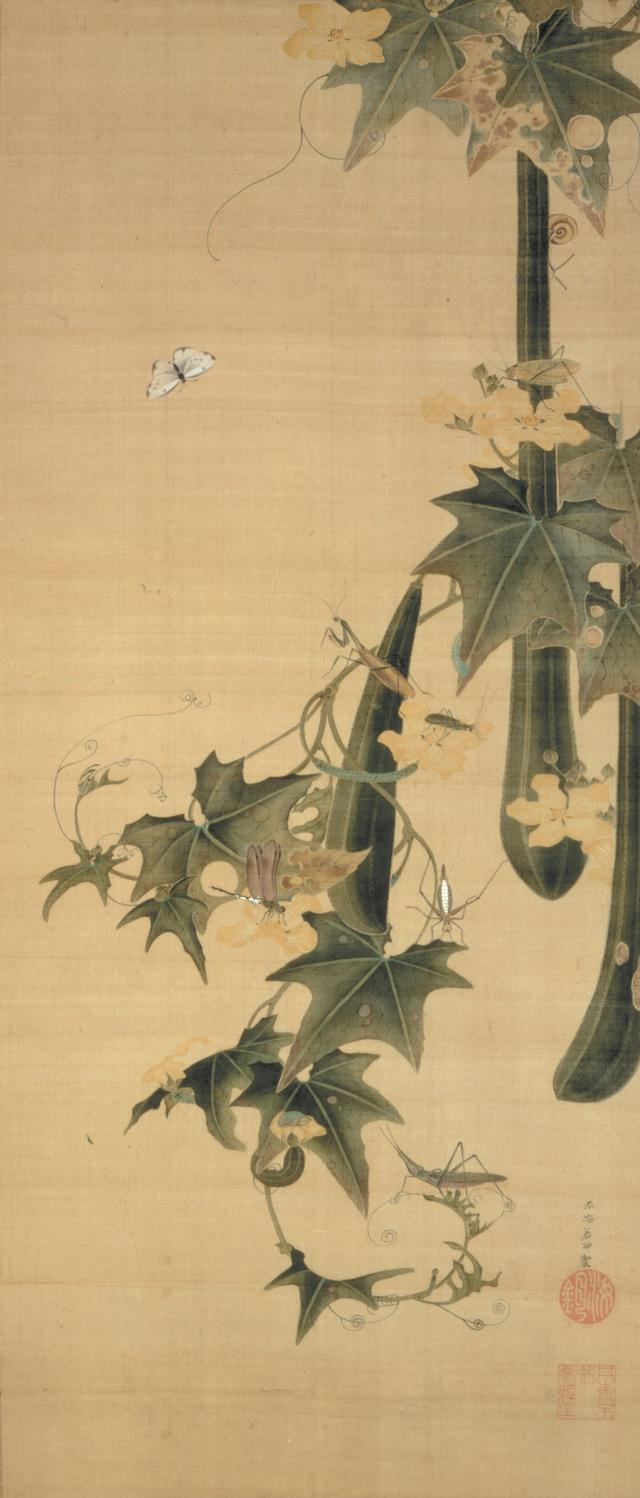 画像: 伊藤若冲 糸瓜群虫図