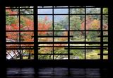 画像2: 建物