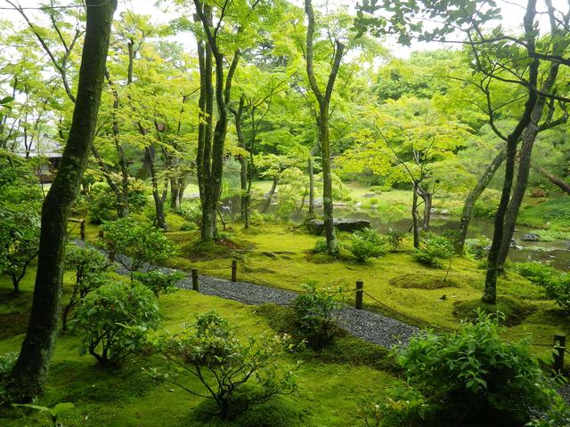 画像3: 庭園