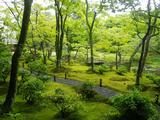 画像3: 庭園
