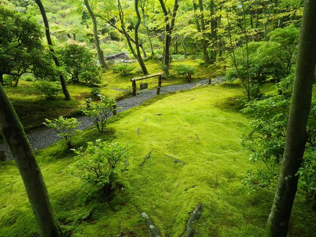 画像4: 庭園