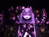 画像4: アートアクアリウム誕生10周年記念祭 「アートアクアリウム展~大阪・金魚の艶~&ナイトアクアリム」