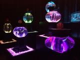 画像2: アートアクアリウム誕生10周年記念祭 「アートアクアリウム展~大阪・金魚の艶~&ナイトアクアリム」