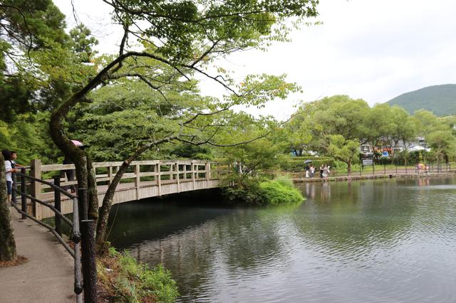 画像4: 湯の坪街道入り口