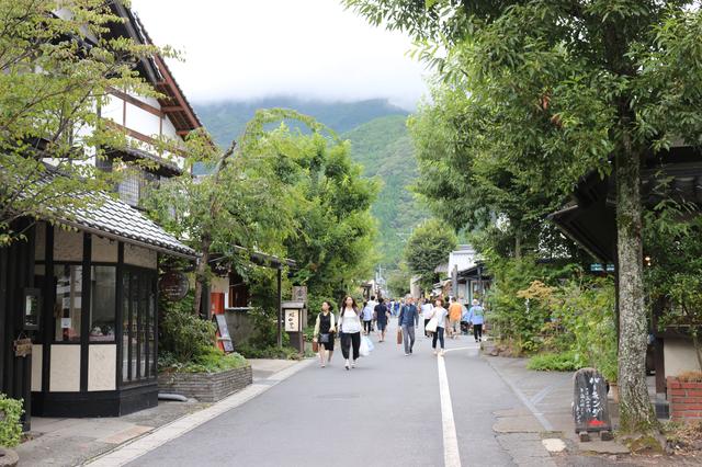 画像2: 湯の坪街道入り口