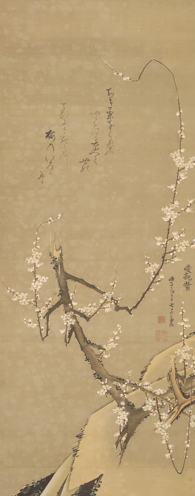 画像: 梅花図 個人蔵 (通期)