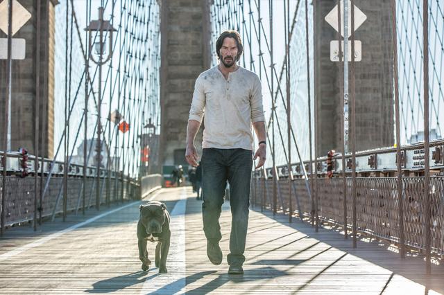 画像2: http://www.comingsoon.net/movies/trailers/774485-the-john-wick-chapter-2-trailer-is-here #/slide/1