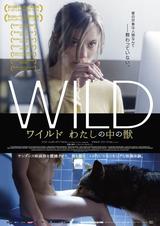 画像: https://twitter.com/WildFinefilms?lang=ja