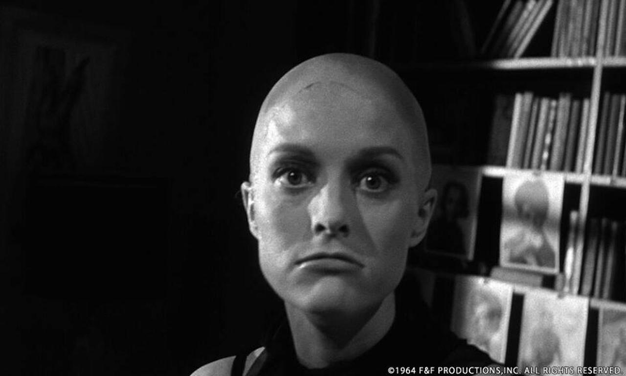 ☆未使用　フェルビースト VS グワイヒア　ブラックゲイトの戦い The Swordfish, the British bomber that sunk the Bismarck