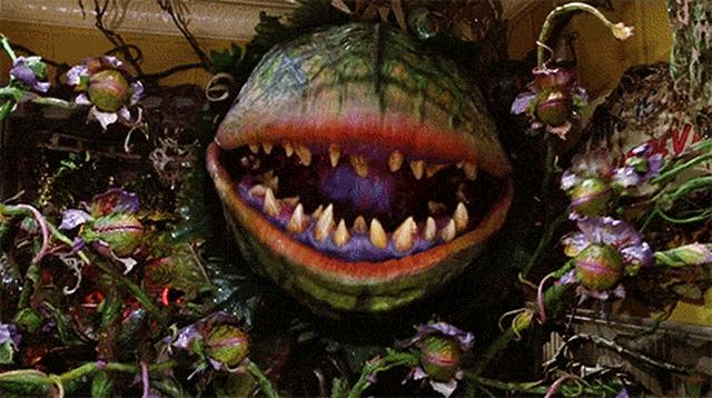 画像: https://www.yahoo.com/movies/little-shop-horrors-remake-works-greg-berlanti-directing-210832440.html