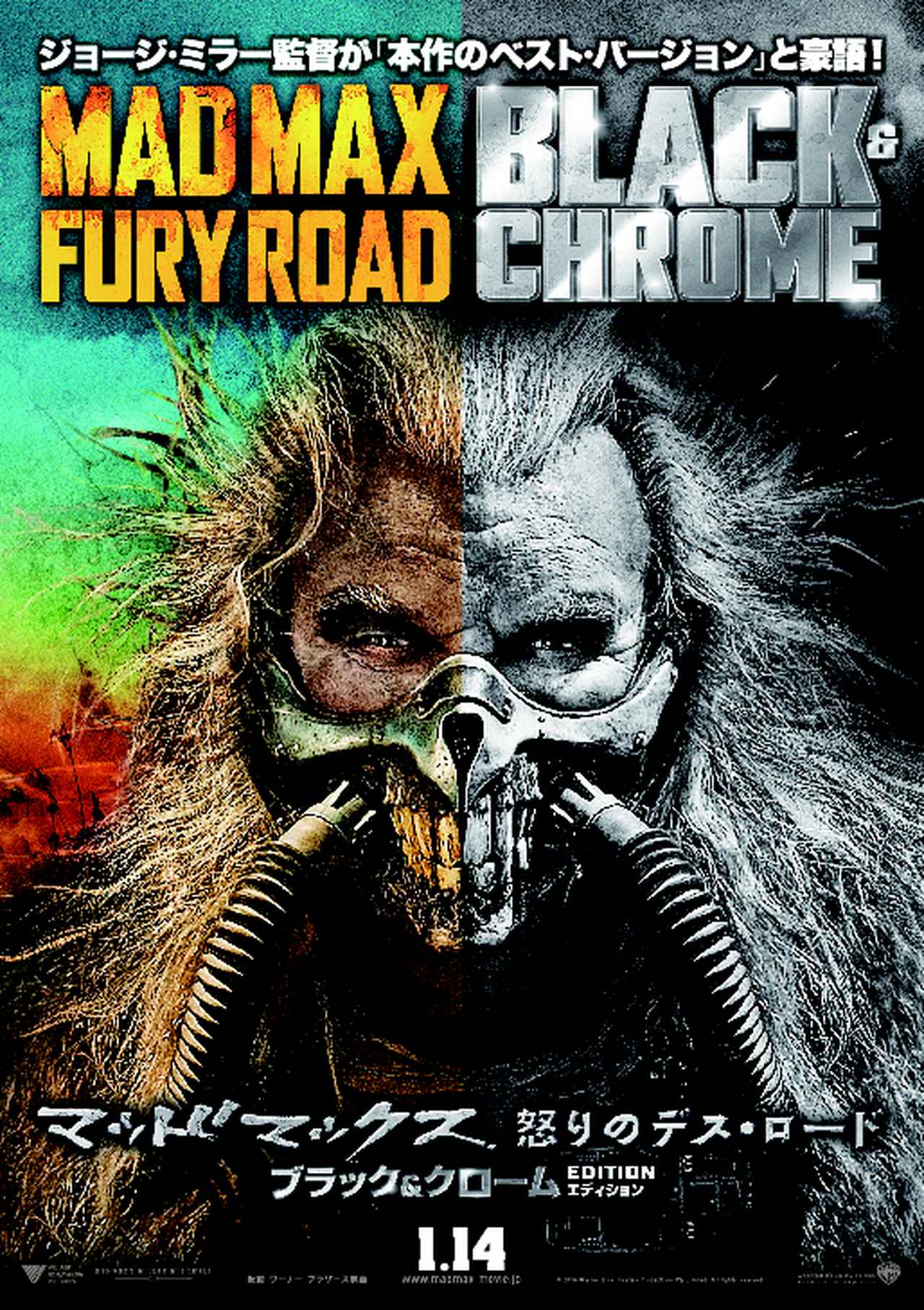 画像1: C2015 VILLAGE ROADSHOW FILMS (BVI) LIMITED C2016 WARNER BROS. ENT. ALL RIGHTS RESERVED