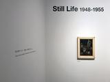 画像: Still life 展示風景