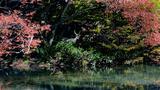 画像7: ©kinone