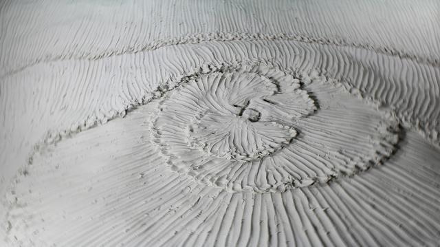 画像: 折笠 良《水準原点》2015