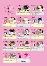 画像2: 主演 伊藤淳史&ヒロイン 忽那汐里もゾッコン!ネコ好きにはたまらない−12匹の猫界のスタープレイヤーを発表!映画『ねこあつめの家』