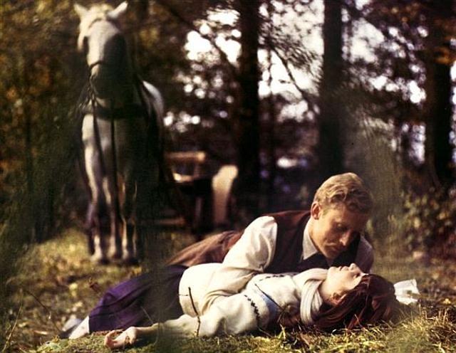 画像: http://www.teleman.pl/tv/Panny-z-Wilka-538204