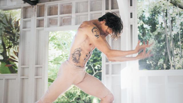 画像8: British Broadcasting Corporation and Polunin Ltd. / 2016
