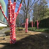 画像: 西門からのアプローチは樹木も点々模様。 photo©cinefil
