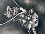 画像: 雪村周継《《龍虎図屏風》部分 根津美術館蔵 ちょっとおとぼけな表情の龍。 photo©cinefil