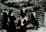 画像: 『櫻の園』 監督:中原俊/1990年/カラー/35mm/96分/ 出演:中島ひろ子、つみきみほ、白島靖代