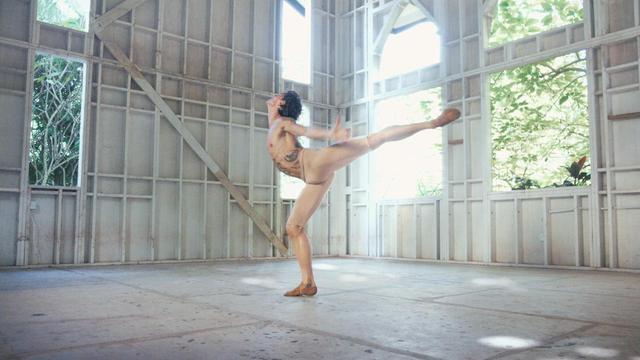 画像1: British Broadcasting Corporation and Polunin Ltd. / 2016