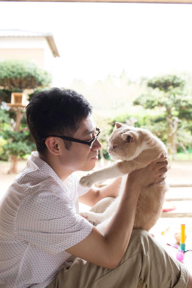 画像: © 2017 Hit-Point/"Neko Atsume House" Production Committee