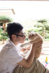 画像: © 2017 Hit-Point/"Neko Atsume House" Production Committee