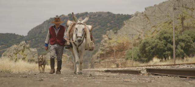 画像: ドンキー・ホーテ Donkeyote 監督:チコ・ペレイラ Chico Pereira スペイン、ドイツ、イギリス/2017/86 分