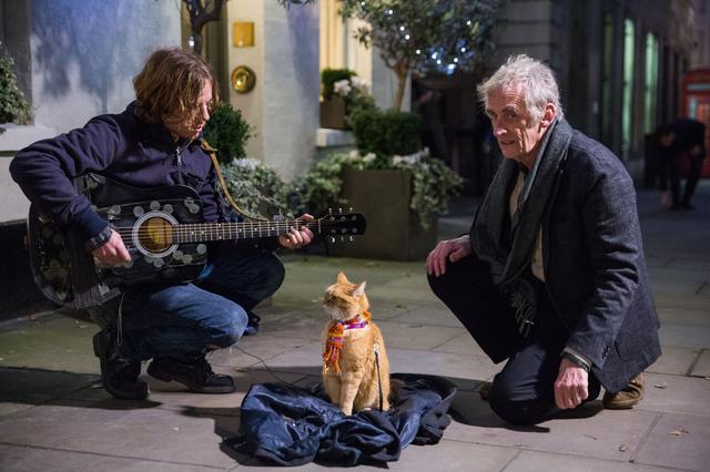 画像: ルーク・トレッダウェイとロジャー・スポティスウッド監督とボブ © 2016 STREET CAT FILM DISTRIBUTION LIMITED ALL RIGHTS RESERVED.