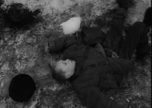 画像: the アートシアター