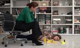 画像2: 『タイニー・ファニチャー(原題:Tiny Furniture)』 (2010年/98分/アメリカ)日本初公開