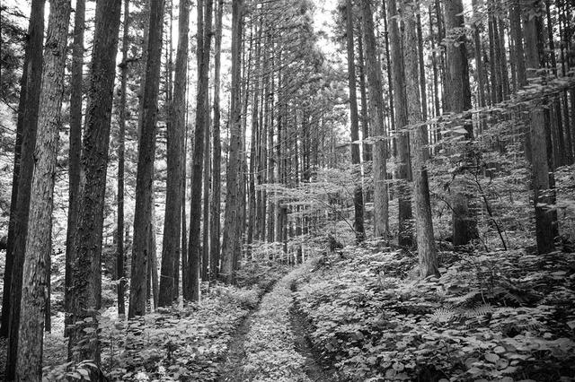 画像2: www.facebook.com