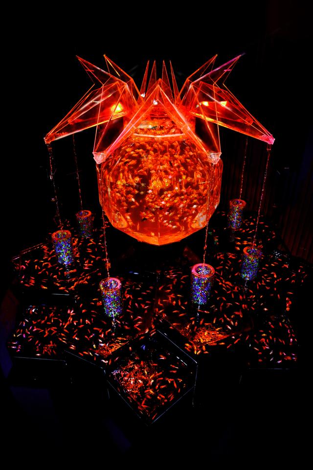 画像2: 超・花魁 写真提供:Art Aquarium