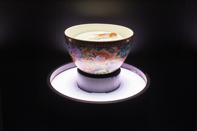 画像: 九谷金魚品評 写真提供:Art Aquarium