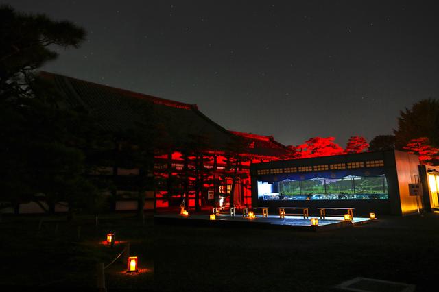 画像3: アートアクアリウム城(2014年)※過去の展覧会の様子 写真提供:Art Aquarium