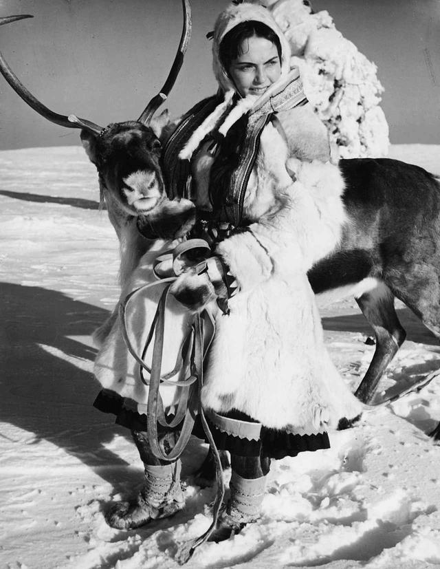 画像2: 『白いトナカイ』 Valkoinen peura/The White Reindeer 監督:エーリック・ブロンベリ 出演:ミリヤミ・クオスマネン、カレルヴォ・ニッシラ