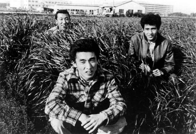 画像: 『ライブイン茅ヶ崎』 監督:森田芳光
