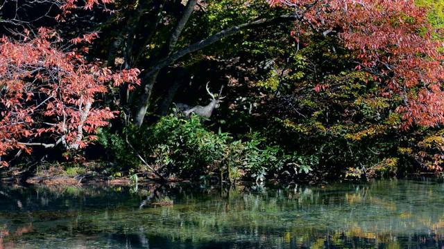 画像4: ©kinone
