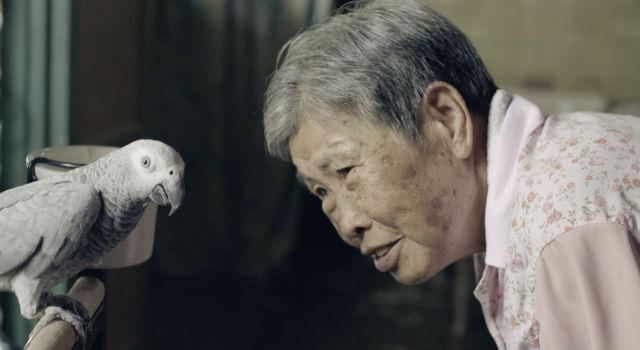 画像9: (C)Japan Foundation Asia Center
