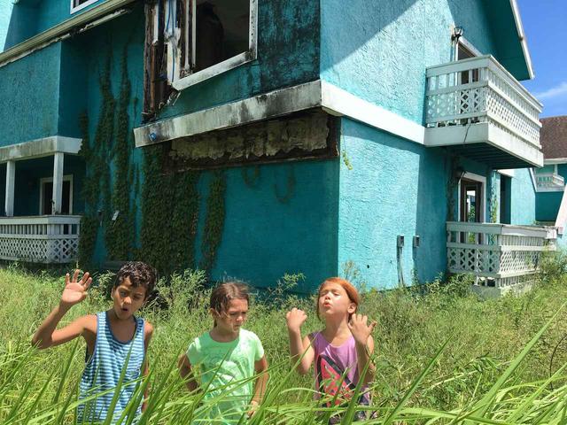 画像6: (C)2017 Florida Project 2016, LLC.