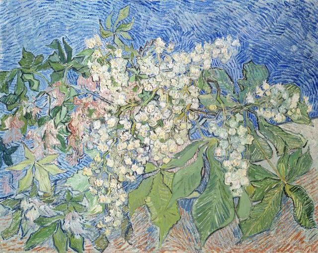 画像: フィンセント・ファン・ゴッホ 《花咲くマロニエの枝》 油彩、カンヴァス 73×92cm ©Foundation E.G. Bührle Collection, Zurich (Switzerland) Photo: SIK-ISEA, Zurich (J.-P. Kuhn)