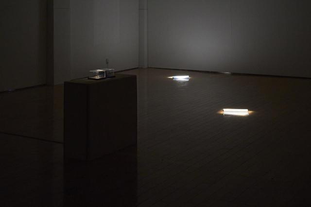 画像: Photo: Takahashi Kenji / Photo courtesy: Tokyo Arts and Space 間断なく反復される重低音のノイズの中、60平米ほどの空間には三筋のスポットライトだけが灯されている。 暗闇の中、スクリプト、セリフが書かれた紙、黒い台の上に置かれたガラスの立方体が浮かび上がる。