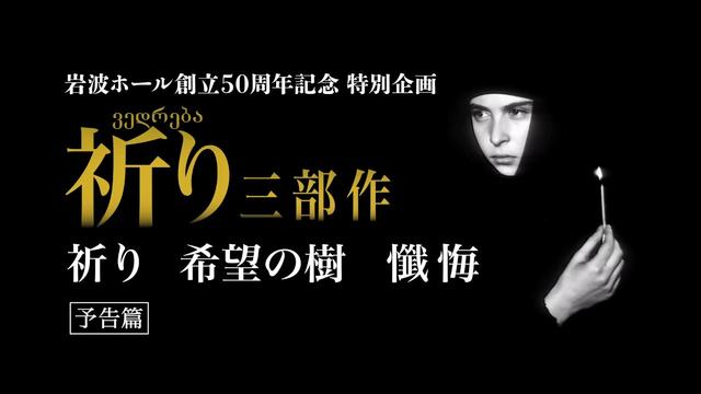 非常に良い】映画パンフレット 希望の樹 テンギス・アブラーゼ監督