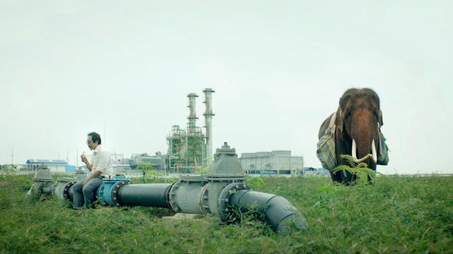 画像3: ©2017 Giraffe Pictures Pte Ltd, E&W Films, and A Girl And A Gun. All rights reserved.