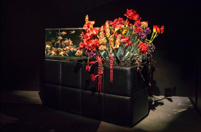 画像: フラワーフラワーアクアリウム