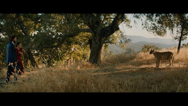 画像3: キアヌ・リーブス&ウィノナ・ライダー4度目の共演作『おとなの恋は、まわり道』初共演から26年たっても相性バツグンの二人の解禁写真!