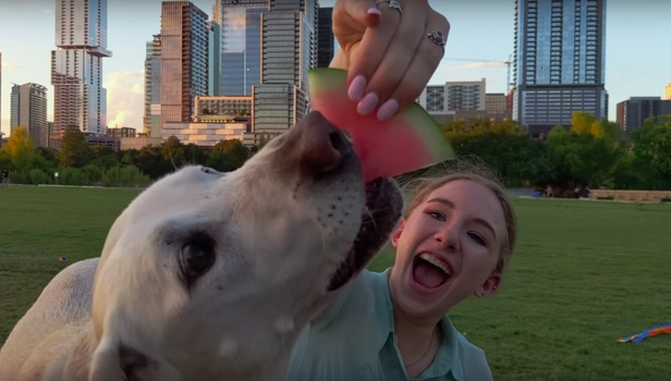 画像: Ο Τέρενς Μάλικ γύρισε ένα διαφημιστικό για Pixel 3 της Google | FLIX