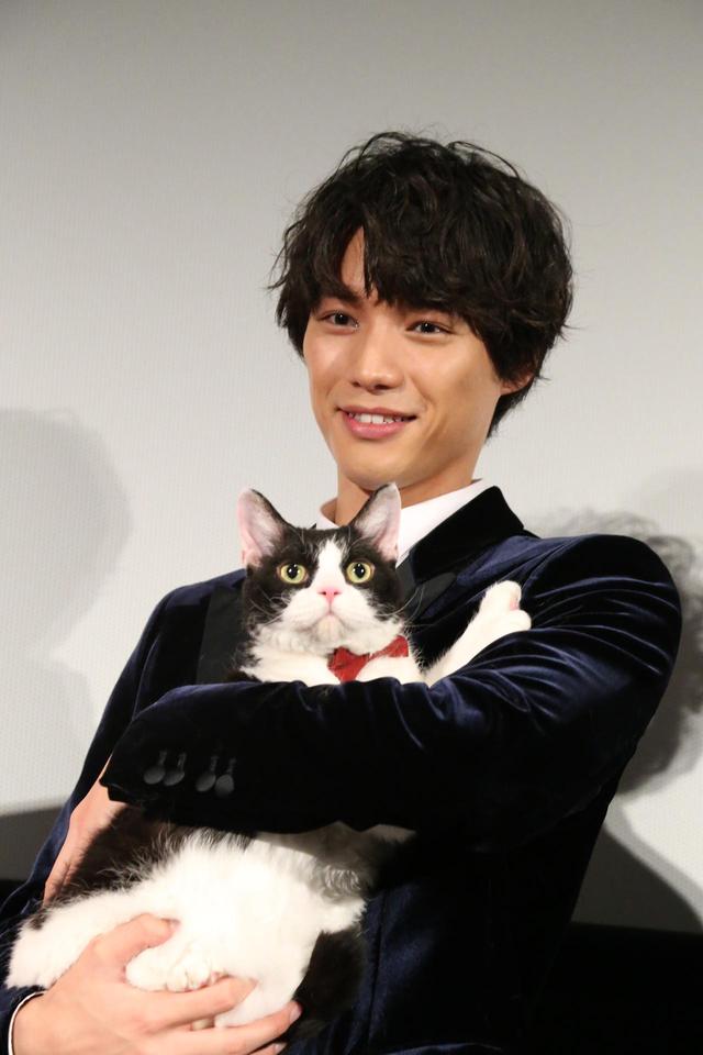 画像1: 映画『旅猫リポート』東京映画祭史上初となる愛猫ナナと一緒にレッドカーペットに登場!福士蒼汰、ナナ、広瀬アリス、三木康一郎監督!