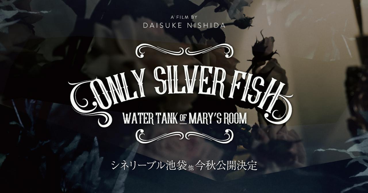 舞台　ONLY SILVER FISH      DVD パンフレット　松田凌 舞台「ONLY SILVER FISH」DVD | MMJ GOODS SHOP